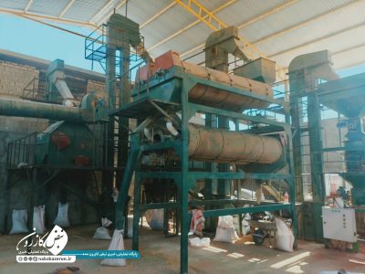 بوجاری بذر گندم در کازرون آغاز شد